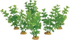 Underwater Treasures Willow Leaf Fish Ornament, 6 count