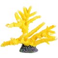 Underwater Treasures Branch Coral Sun Fish Ornament