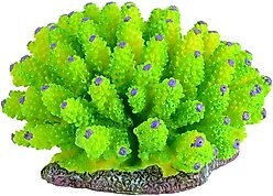 Underwater Treasures Green Tube Coral Fish Ornament
