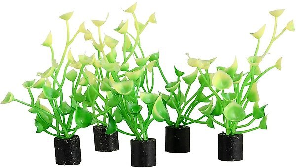Underwater Treasures Mini Plant Baby Tear Fish Ornament, 5 count slide 1 of 1