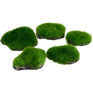 Underwater Treasures Mini Moss Rock Fish Ornament, 5 count