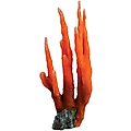 Underwater Treasures Orange Finger Coral Fish Ornament