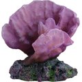 Underwater Treasures Acro Coral Fish Ornament, Purple