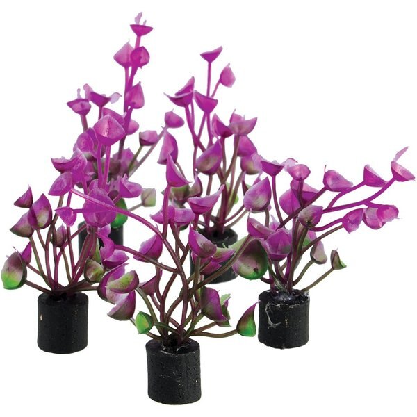Underwater Treasures 4 Grounder Purple Cardamine Fish Ornament, 6 count