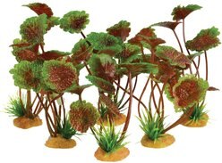 Underwater Treasures 4 Grounder Purple Cardamine Fish Ornament, 6 count