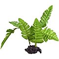 Underwater Treasures Maidenhair Fern Fish Ornament