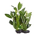 Underwater Treasures Olive Tree Fish Ornament