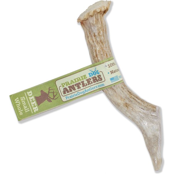 Pack Approved Whole Deer Antlers Natural Dog Chews, 4 to 5-in, 3 count