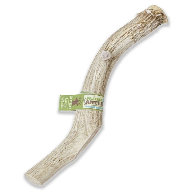 PRAIRIE DOG Whole Deer Antler Dog Chews, 8 - 9.5 in - Chewy.com