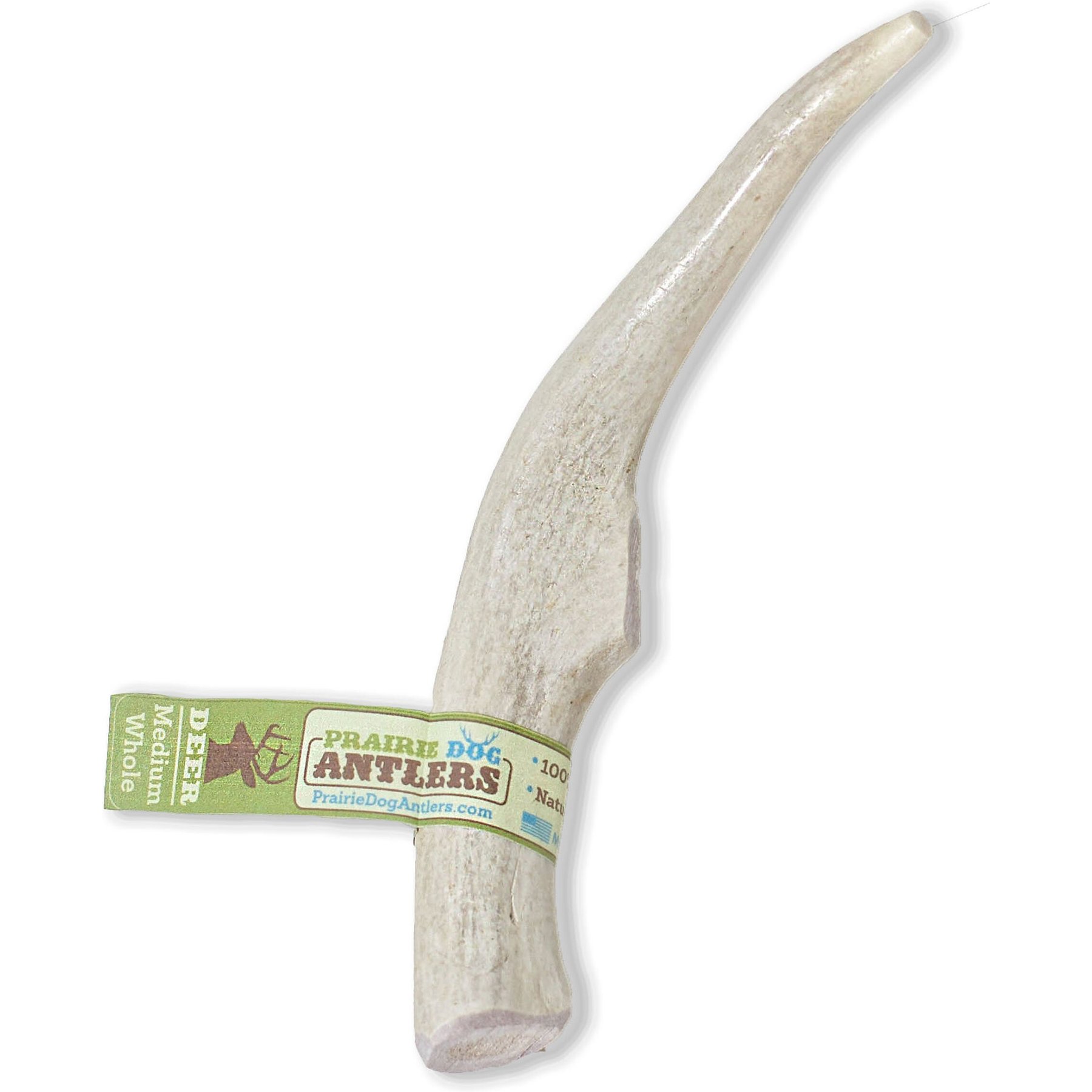 Small Whole Deer Antler Dog Chew, For Small to Medium Size Dogs and Puppies  - 6 to 11 Inches Long - Big Dog Antler Chews Brand