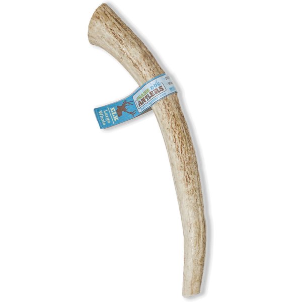 Prairie Dog Deer Antlers Regular Dog Chews, 8 - 9 in