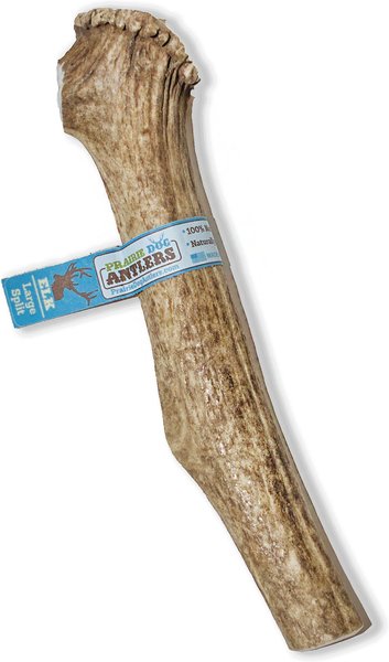 Chewy shop elk antler