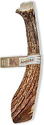 Prairie Dog Split Moose Antler Dog Chews, 8 - 9.5 inch