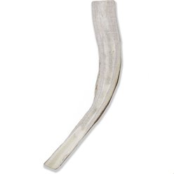 Prairie Dog Split Moose Antler Dog Chews, 9.5 - 10.5 inch slide 2 of 9