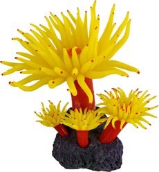 Underwater Treasures Duncan Coral Fish Ornament, Sunset