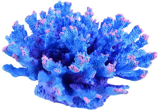 Underwater Treasures Aussie Branch Coral Fish Ornament, Blue slide 1 of 1