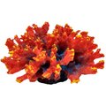 Underwater Treasures Aussie Branch Coral Fish Ornament, Red