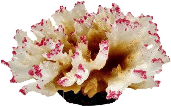 Underwater Treasures Aussie Branch Coral Fish Ornament, White slide 1 of 1