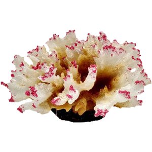 Underwater Treasures Aussie Branch Coral Fish Ornament, White