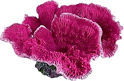 Underwater Treasures Montipora Coral Fish Ornament, Valentine