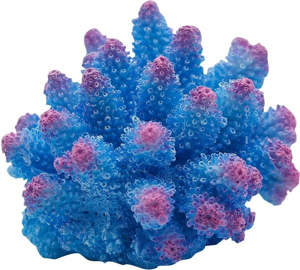 Underwater Treasures Cauliflower Coral Fish Ornament, Blue slide 1 of 1