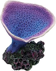 Underwater Treasures Elephant Ear Coral Fish Ornament, Purple