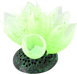 Underwater Treasures Glow Action Bubbling Sea Squirts Fish Ornament, Green