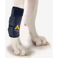 Agon Front Leg Brace & Wound Protection Paw Compression & Wrap for Dogs, Large/X-Large