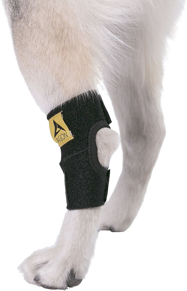 AGON Front Leg Brace & Wound Protection Paw Compression & Wrap for Dogs