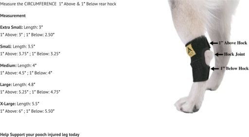 Agon Rear Leg Dog Brace, Small