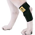 Agon Rear Leg Dog Brace, Medium
