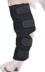 Agon Rear Hock Long Leg Dog Brace, X-Small