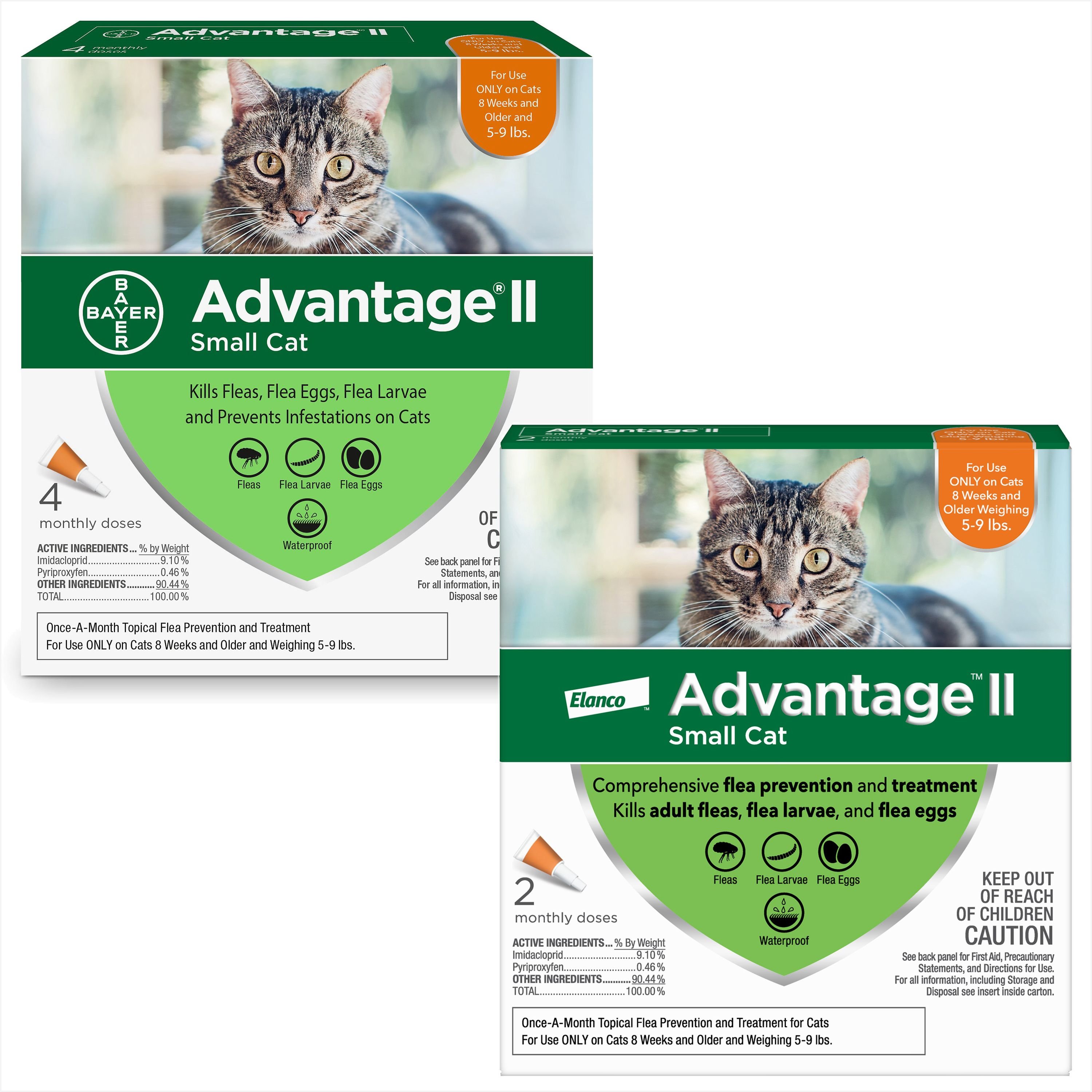 Chewy hotsell advantage cats