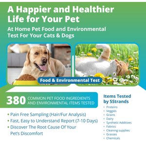 5Strands Food & Environmental Intolerance Test for Dog, Cat & Small Pet