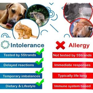 5Strands Food & Environmental Intolerance Test for Dog, Cat & Small Pet