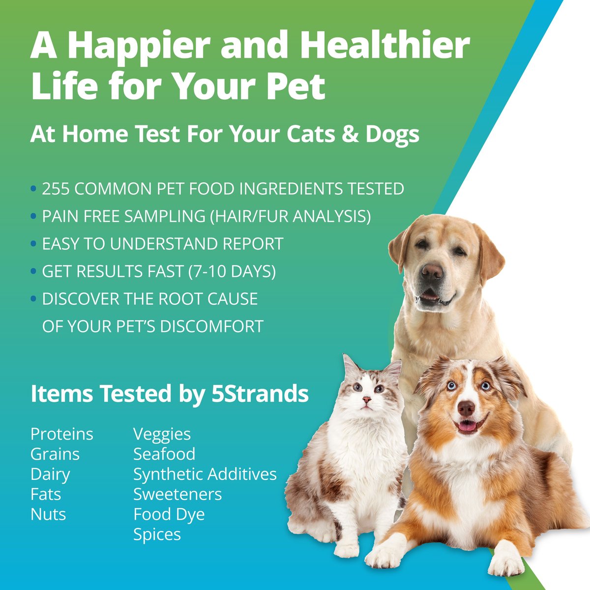 5strands Food Intolerance Test For Dog Cat And Small Pet