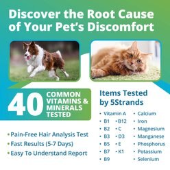 5Strands Nutrition Imbalance Test for Dog, Cat & Small Pet slide 2 of 7