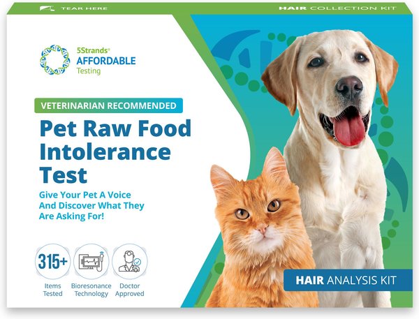 5strands Raw Food Intolerance Test For Dog Cat And Small Pet