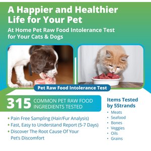 5Strands Raw Food Intolerance Test for Dog, Cat & Small Pet