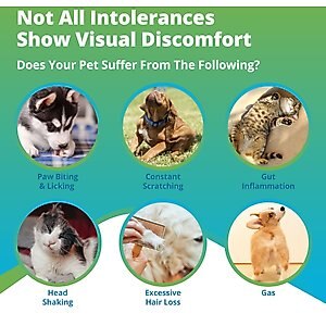 5Strands Raw Food Intolerance Test for Dog, Cat & Small Pet
