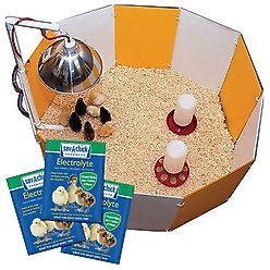 Farm Innovators Baby Chick Starter Home + Sav-A-Chick Electrolyte & Vitamin Poultry Supplement 