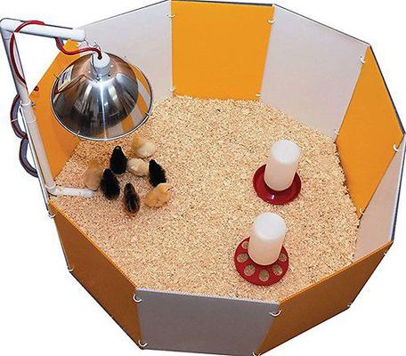 Show full view: Farm Innovators Baby Chick Starter Home + Sav-A-Chick Electrolyte & Vitamin Poultry Supplement  slide 2 of 5