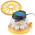 Brinsea Mini II Advance Automatic Egg Incubator + Mini II Advance Automatic Egg Incubator Small Egg Insert