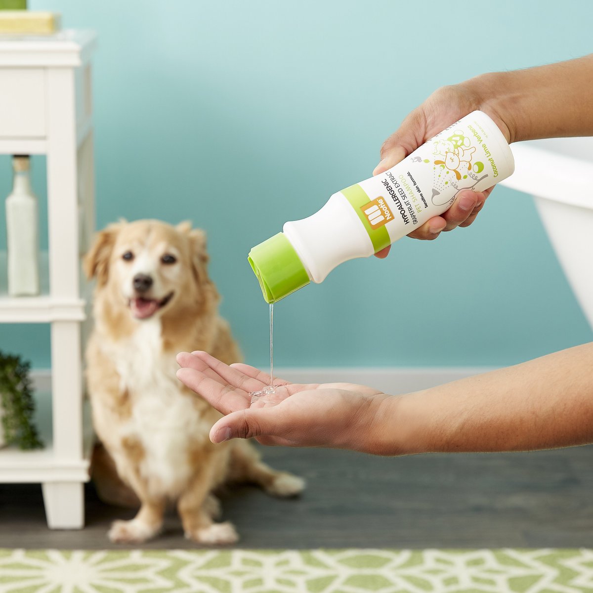 Nootie Coconut Lime Verbena Daily Spritz for Dogs