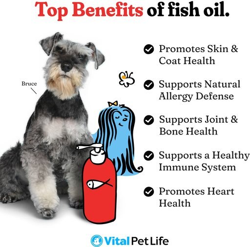 Vital Pet Life Wild Alaskan Fish Oil Skin & Coat Health Liquid Cat & Dog Supplement, 64-oz bottle