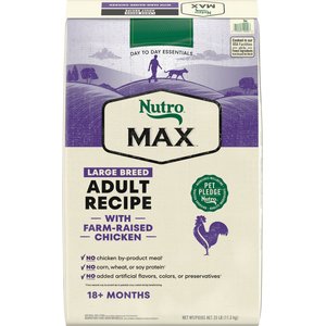 Nutro mini chunk dog 2024 food