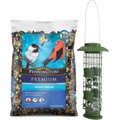 Frisco Squirrel Defense Wild Bird Feeder + Pennington Premium Select Blend Bird Food