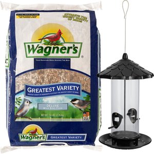 chewy wild bird feeders