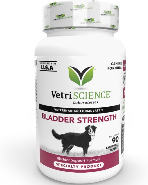 VetriScience Bladder Strength Chewable Tablets Urinary Supplement for Dogs, 90 count slide 1 of 6