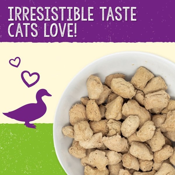 STELLA & CHEWY'S Duck Duck Goose Dinner Morsels Freeze-Dried Raw Cat